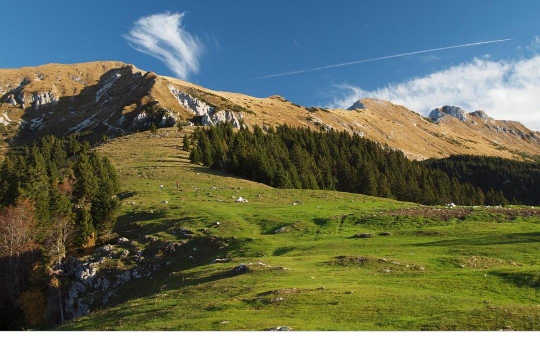 Apartma Jelendol Tržič Buitenkant foto