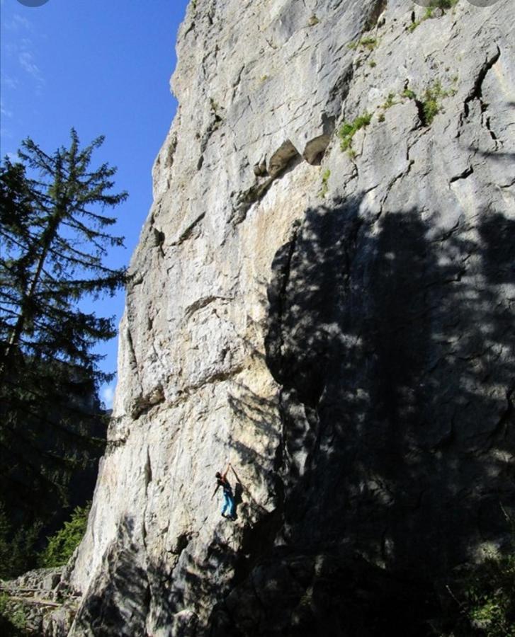 Apartma Jelendol Tržič Buitenkant foto
